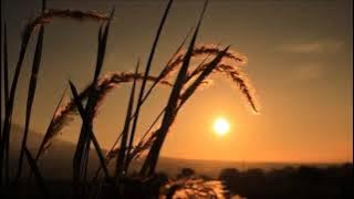 Melukis Senja - Budi Doremi (Lirik Lagu) Cover by Tri Suaka FT. Nabila Maharani