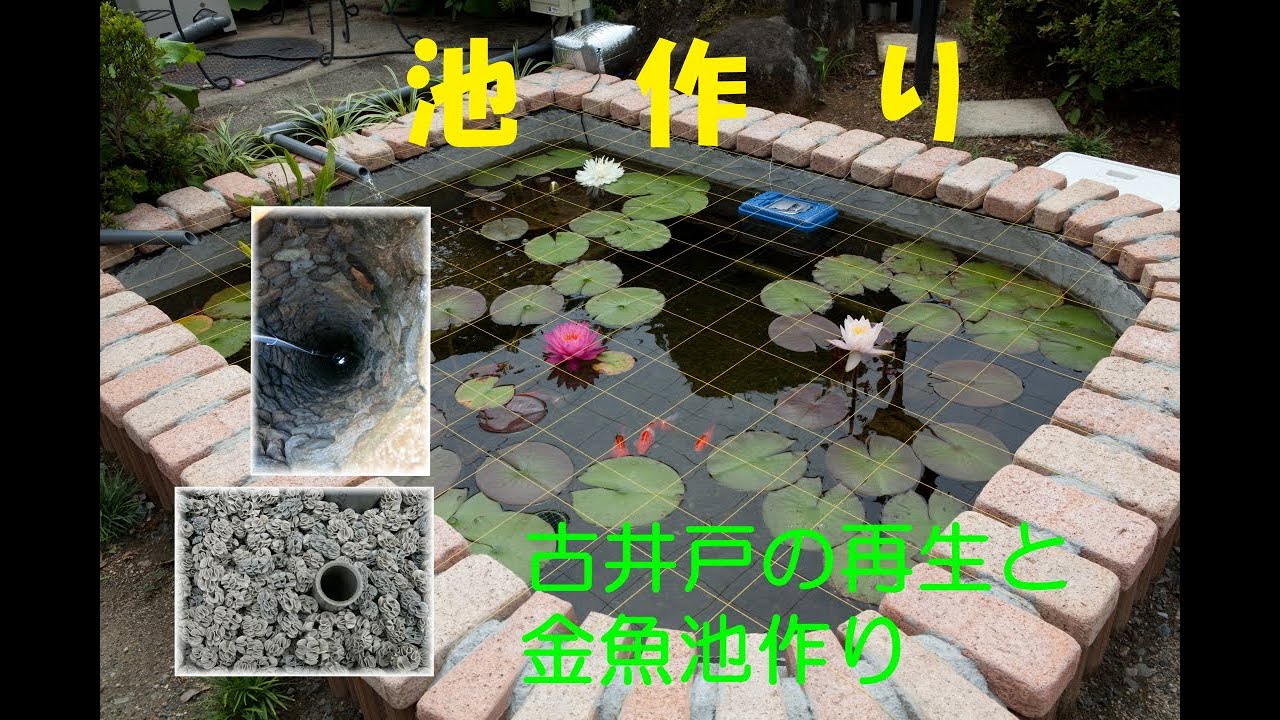 池作り 古井戸の再生と金魚池作り Youtube 池作り 古井戸の再生と金魚池作り Youtube