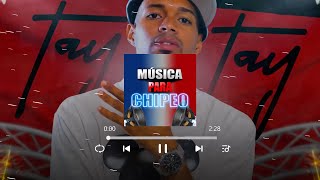 TAY TAY' DOBLE TONO - ALEXFLOW 08 | PARA MUSICOLOGOS