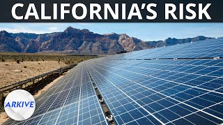 Why California Built The Worlds Largest Solar Farm