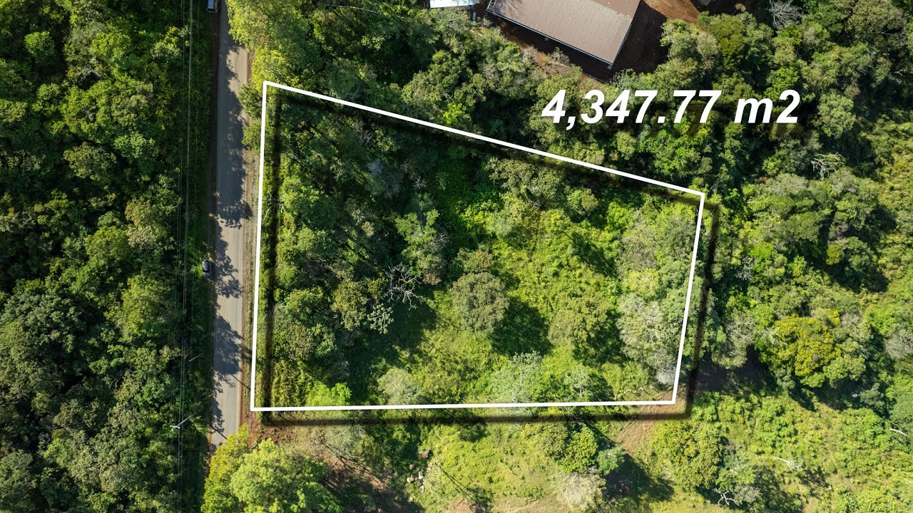 Build Ready Land in Boquete Panama | Joanne Hatch Real Estate | B18122025