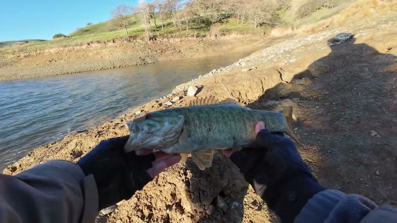 ASMR Bass Fishing