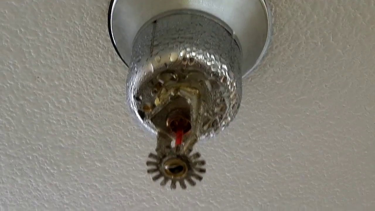 Accessible Space Inc = Unfit Living Conditions 4 YouTube