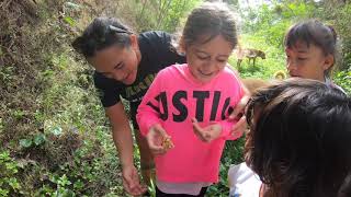 Ariki School Holiday Program Ride & Climb July 2020