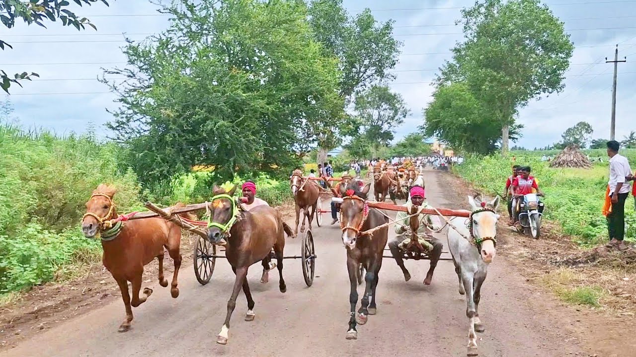 ಬಡಿಗವಾಡ ಜನರಲ 5,000 ಮೈದಾನ| बडिग्वाड जनरल ५,००० मैदान | Badigwad horse cart race 27/8/2025  #badigawd 