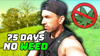 75 Days Without Weed | The Road To 90 Days Without Weed | Ep. 5