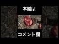 嘘をつく理系大学院生を許すな‼️‼️