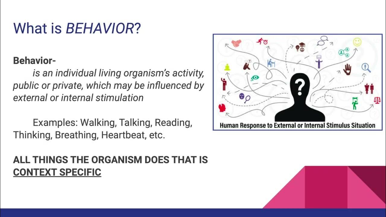 What Are The Three Branches Of The Science Of Behavior Analysis
