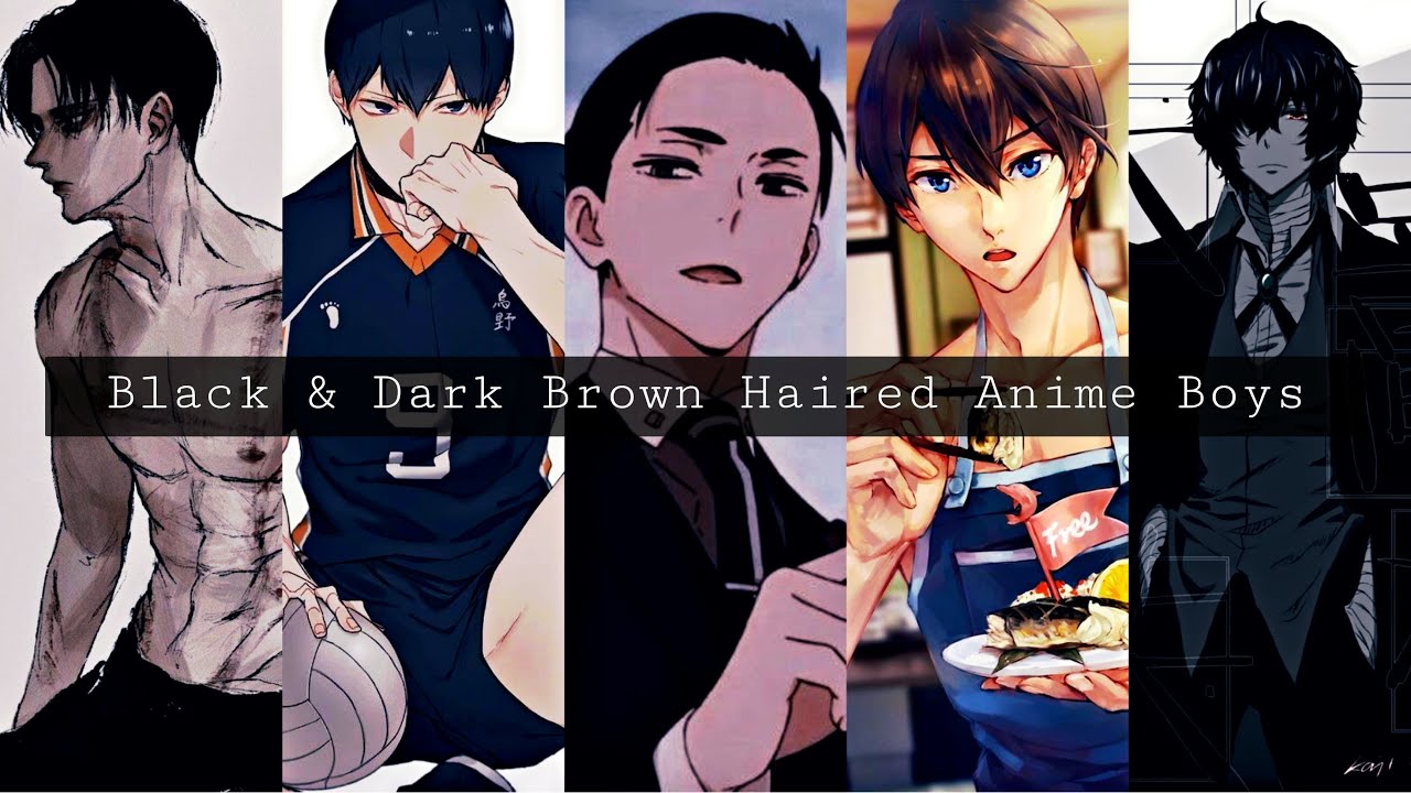 dark brown haired anime boy