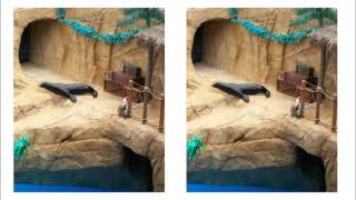 Find The Difference Picture Game 2 | Drinking Channel | Test Your Brain screenshot 5