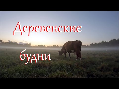Работы на любой вкус. Жизнь на Лесном Хуторе.