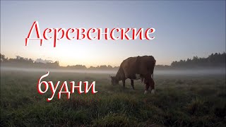 :    .    .