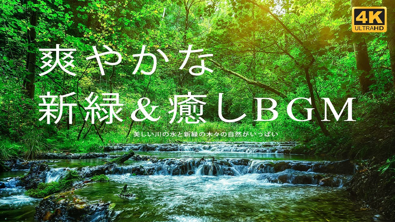 【自然音】川のせせらぎ・鳥のさえずり|勉強・睡眠|自然の音で勉強に集中|川の音・森の音でリラックス|Nature Sounds - YouTube