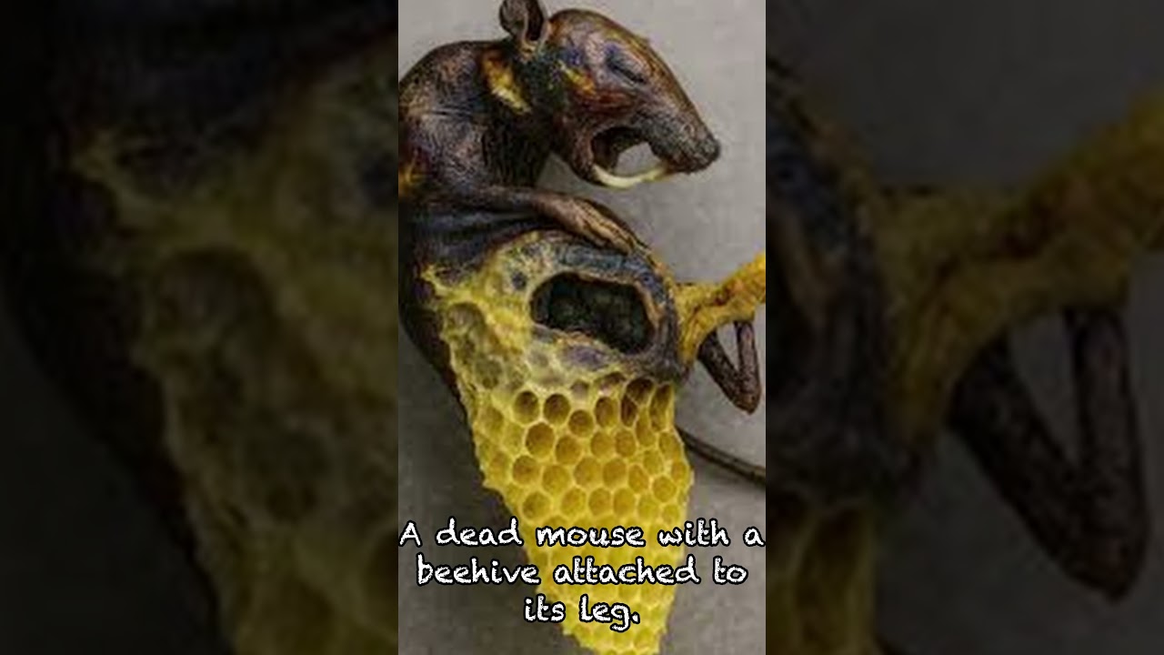 Unedited Photos That Shocked the World_Part3 