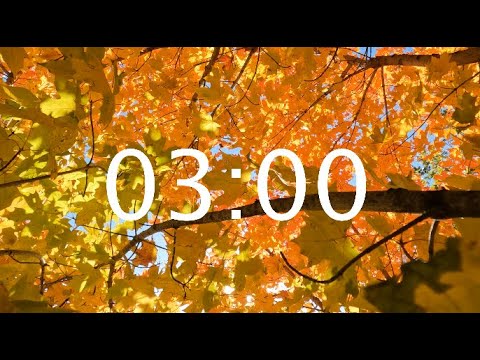 3 Minute Autumn Leaves Timer LoFi Fall Classroom Countdown