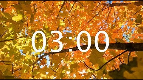 3 Minute Autumn Leaves Timer - LoFi Fall Leaves Classroom Countdown Timer
