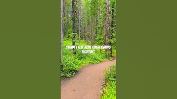 Morning hike along the forest trail 🌲 #walkingtrail #trailwalking #nature #explore #fyp #walkcalgary