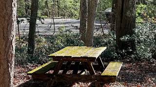 A Fall Stroll Through Raymond B Winter State Park