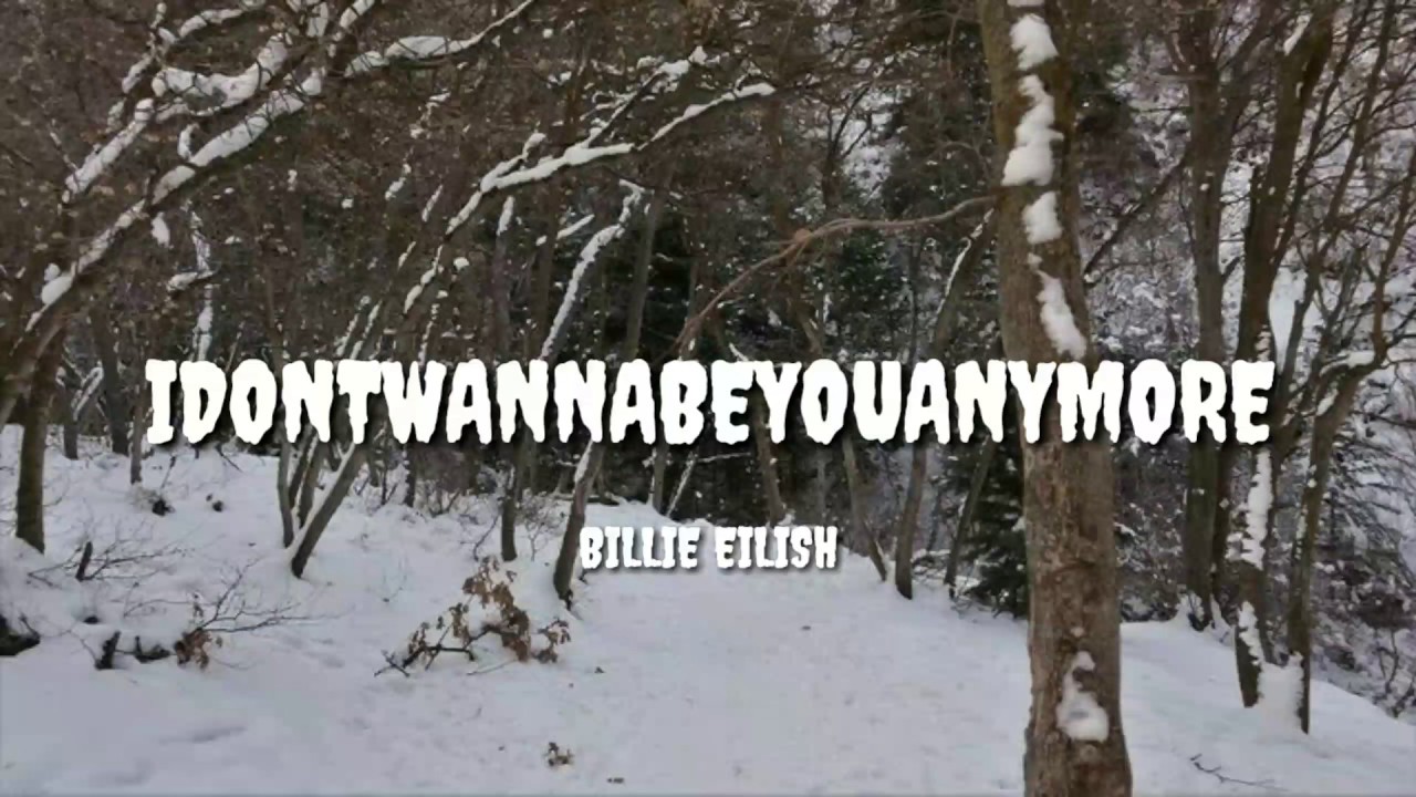 Billie Eilish - Idontwannabeyouanymore (Lyrics) - YouTube