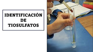 IDENTIFICACIÓN DE TIOSULFATOS | REACCIÓN DEL TIOSULFATO DE SODIO CON YODO. #química #experimento IDENTIFICACIÓN DE TIOSULFATOS | REACCIÓN DEL TIOSULFATO DE SODIO CON YODO. #química #experimento