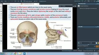 Anatomy of the Paranasal sinuses - Dr. Ahmed Farid