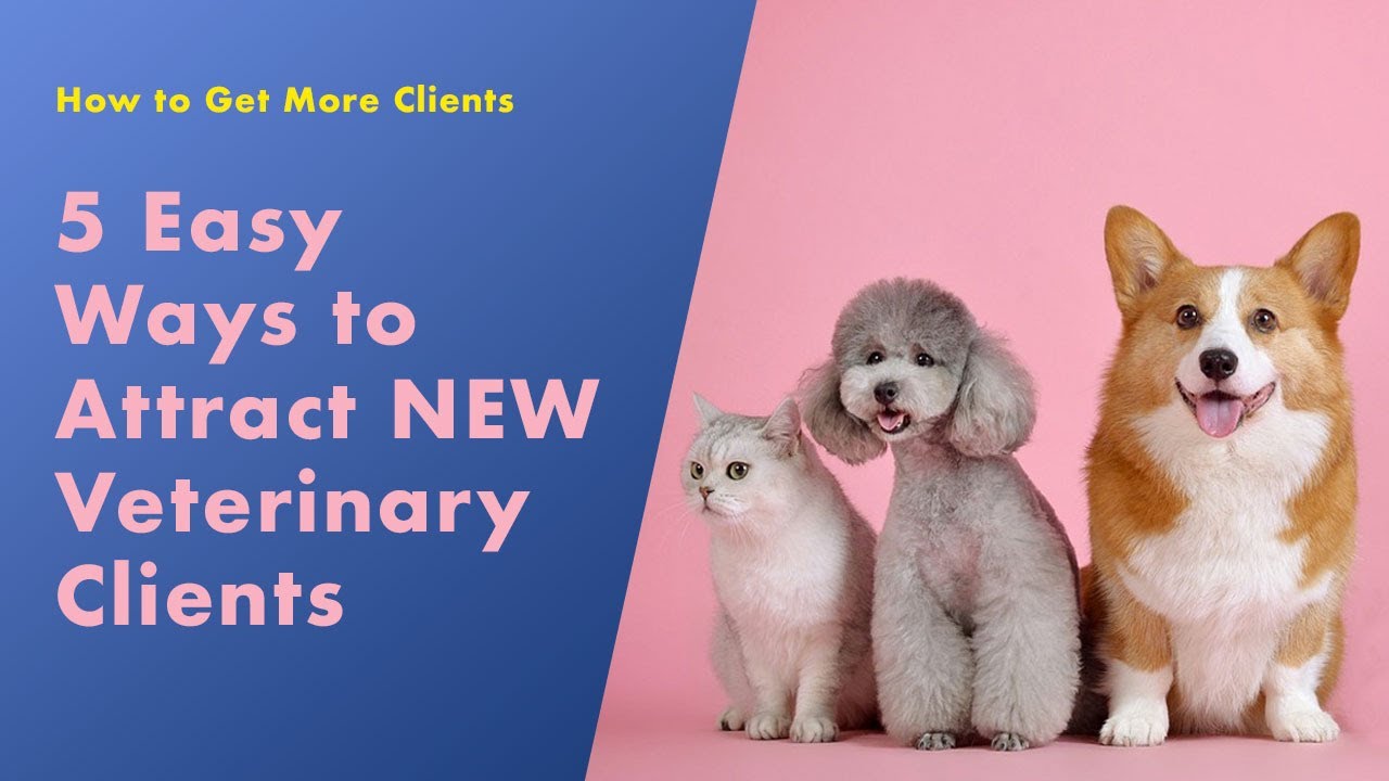 5 Easy Ways To Attract New Veterinary Clients