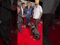 Sublime Pulled Up To The Red Carpet With A Pup 🥹🐶