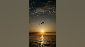 أواخر سورة الحشر بصوت القارئ الداعية يحيى الرابي