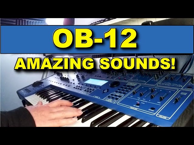 Oberheim OB-12 Demo - YouTube