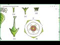 Fruit, seed, all Families | Morphology of flowering plant | DDC