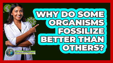 Why Do Some Organisms Fossilize Better Than Others? - Earth Science Answers
