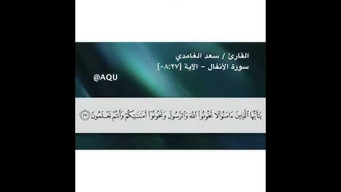 سورة الانفال - الآية 27 - بصوت القارئ سعد الغامدي