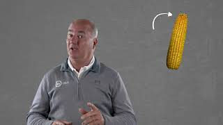 Put nitrogen where it counts