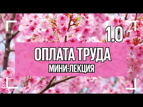 Урок 11. Учет оплаты труда: начисления, удержания, налоги и взносы.