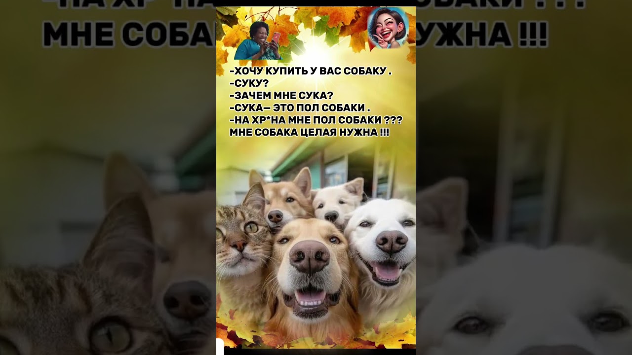 JOKES EVERY DAY! HUMOR! FUNNY! 