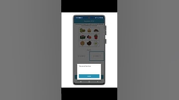 WISC-V Test Preparation Pro