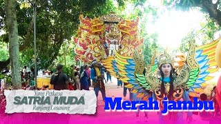 Merah jambu Voc. Kusniah | SATRIA MUDA 2025 | Sumbon Blok Talun (Bpk. Bapa jono - Ibu. Ti'ah)