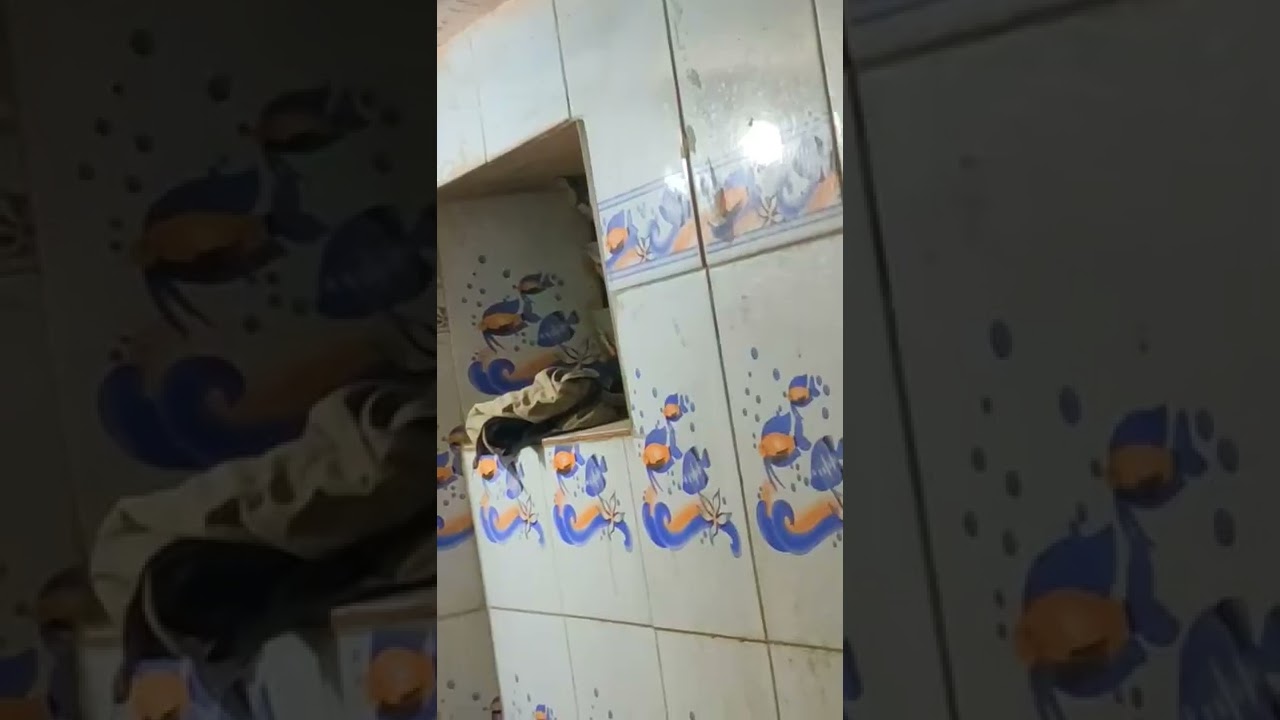 పగోడికి కూడా ఈ కష్టం రాకూడదు moment 😂🦎