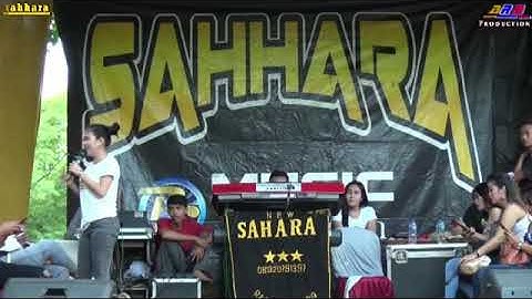 Sinka_sisuka_ Dance monkey ( Sahara )