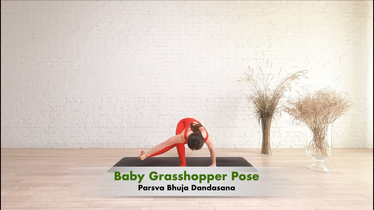 Preparing for Baby Grasshopper Pose | Yoga at home, Yoga videos, Yoga  challenge