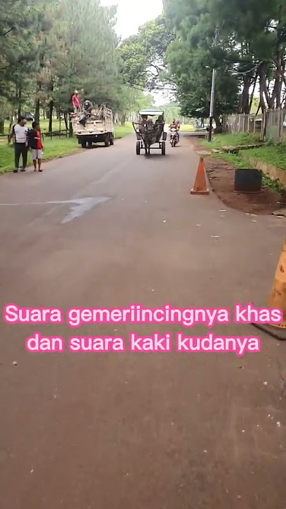 MAU TAU.... - INI YANG NAMANYA DELMAN ATAU ANDONG?