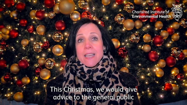 What is environmental health? - Kingston Christmas Market