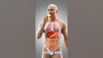 Inside Your Gut: 3D Animation of Banana Digestion & Parasite Worms