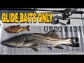 Random glide bait challenge for snook and tarpon