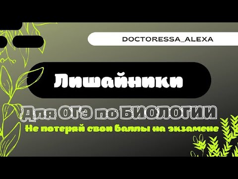 Лишайники | БИОЛОГИЯ