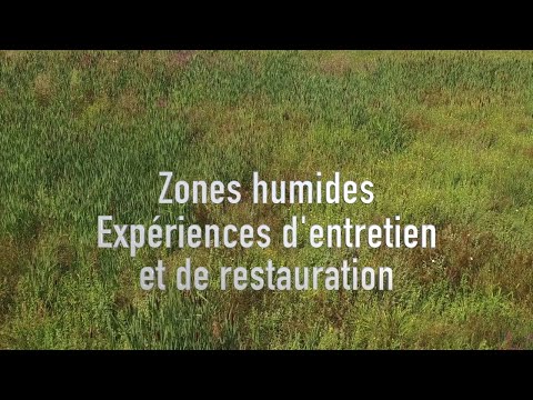 Zones humides : Expériences d'entretien et de restauration