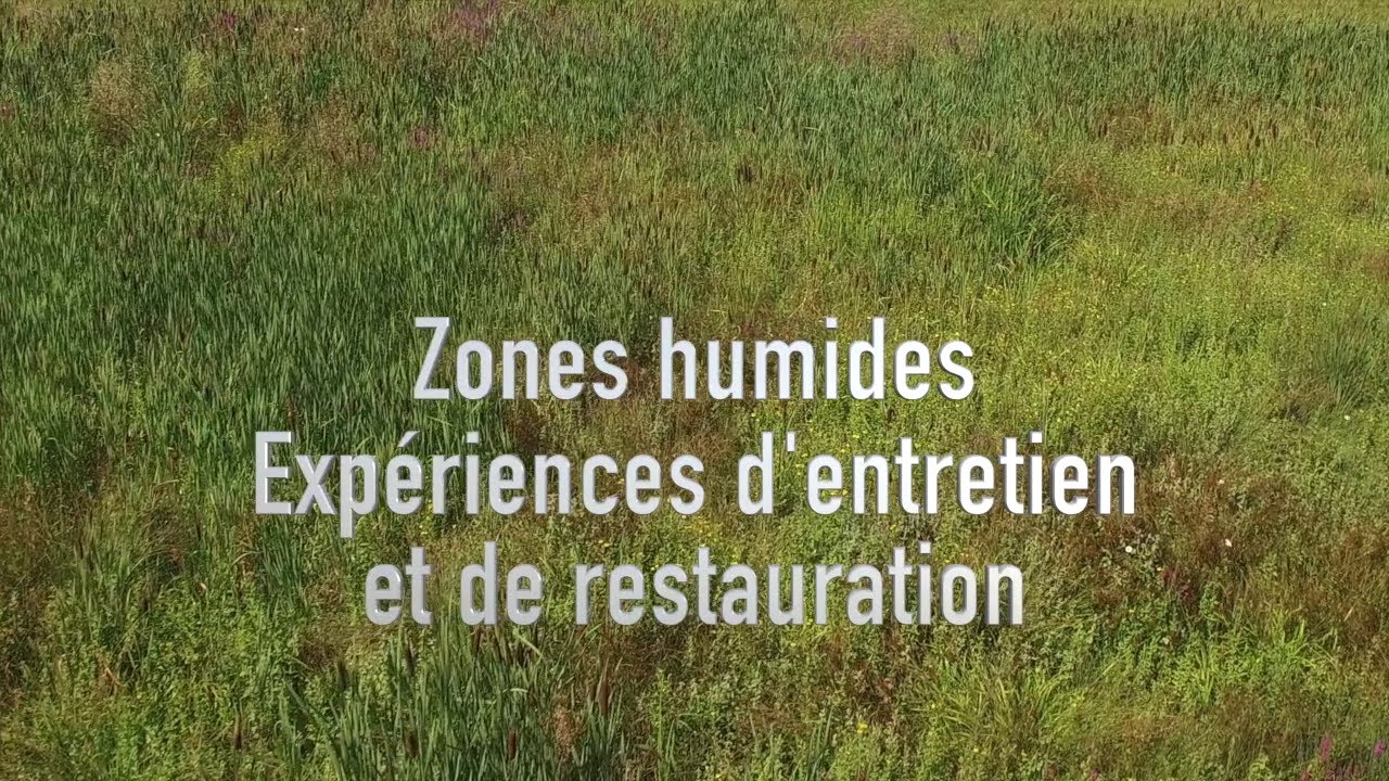 Zones humides : Expériences d'entretien et de restauration