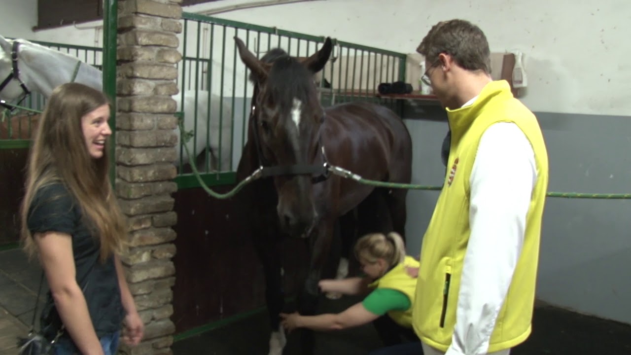 Vendégségben Hölle Martinnál