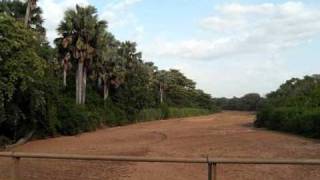 southern sudan landscape and wildlife