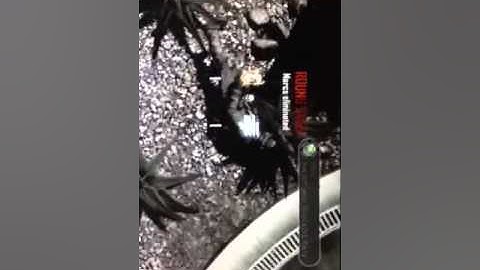 BO2 dispute map 3: Raid